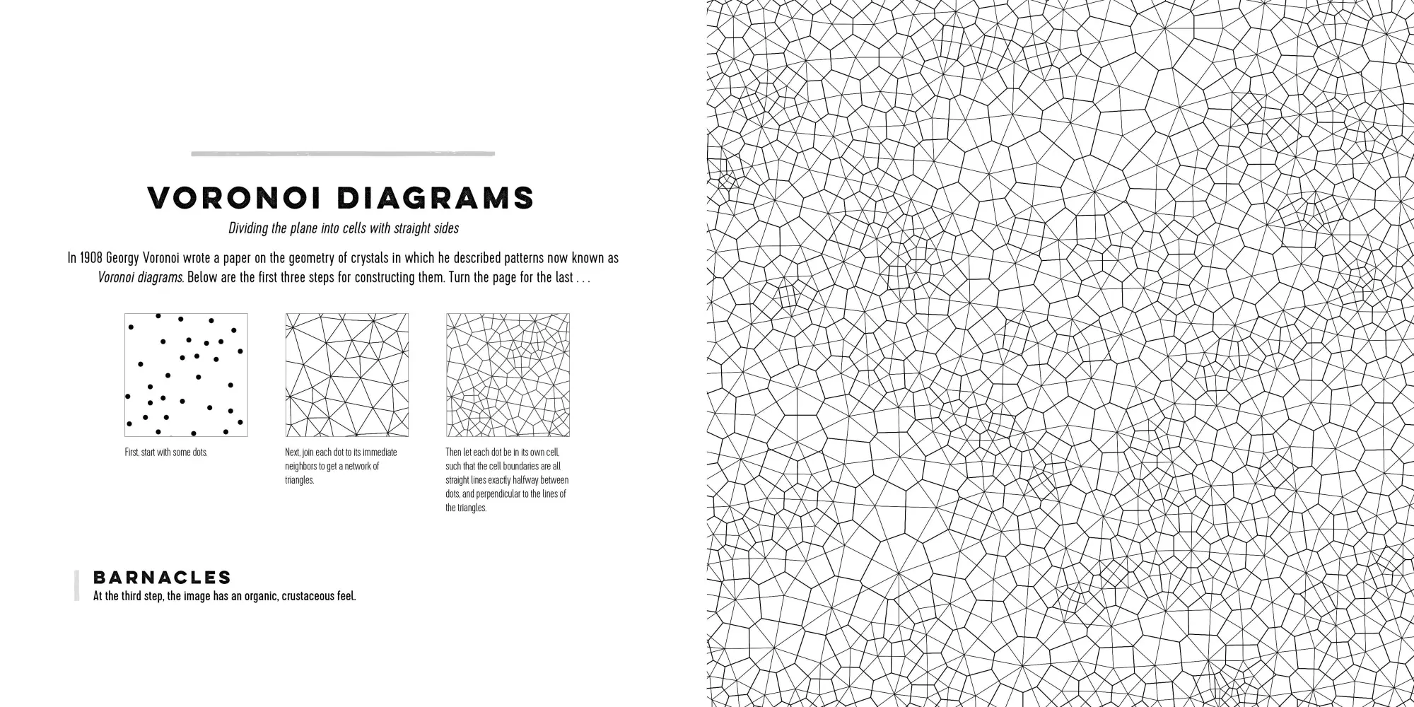 Bild: 9781615193233 | Patterns of the Universe | A Coloring Adventure in Math and Beauty