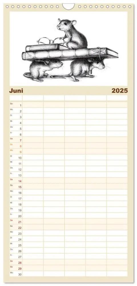 Bild: 9783457113233 | Familienplaner 2025 - owls &amp; friends 2025 mit 5 Spalten...
