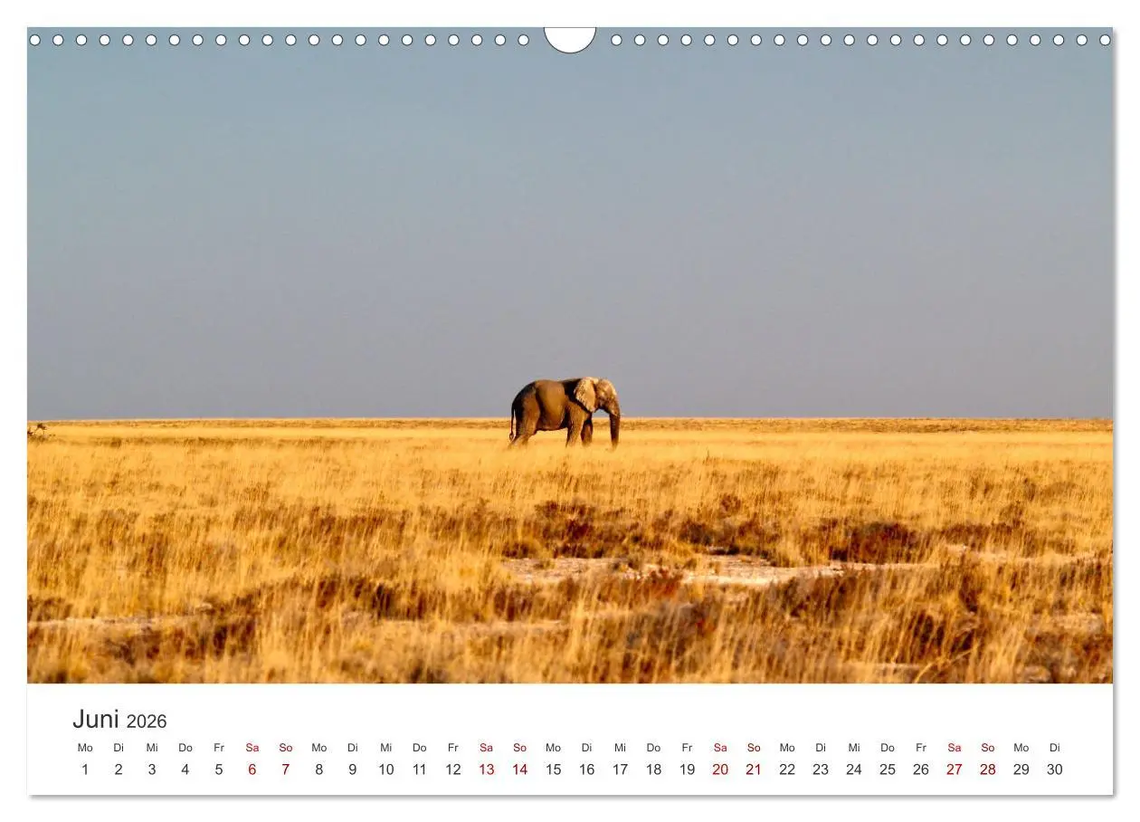Bild: 9783457593233 | Namibia - Ein Paradies auf Erden. (Wandkalender 2026 DIN A3 quer),...