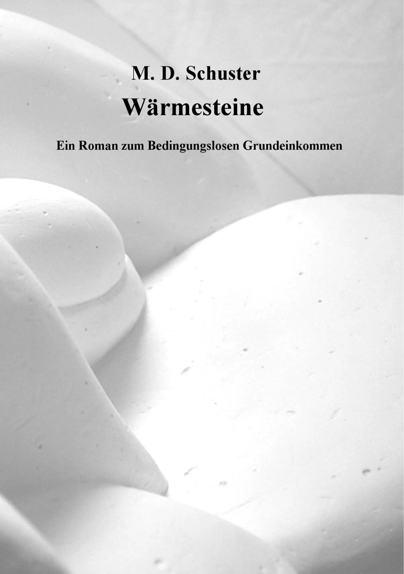 Cover: 9783734793233 | Wärmesteine | Ein Roman zum Bedingungslosen Grundeinkommen | Schuster