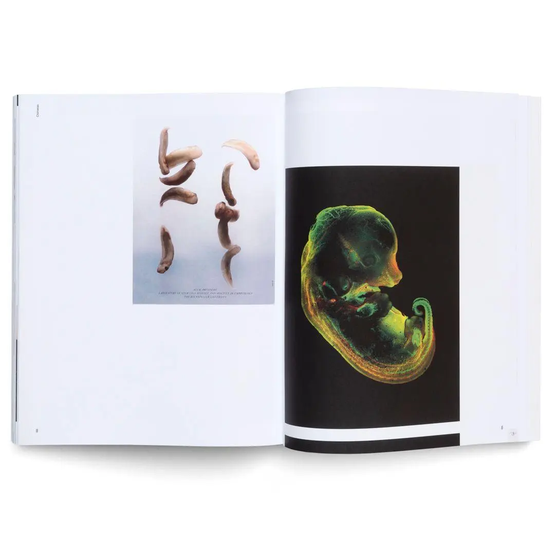Bild: 9783775763233 | Pierre Huyghe | Mouna Mekouar (u. a.) | Taschenbuch | 224 S. | Deutsch