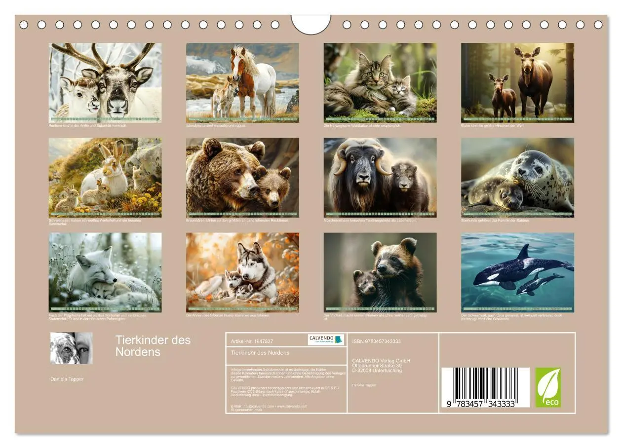 Bild: 9783457343333 | Tierkinder des Nordens (Wandkalender 2026 DIN A4 quer), CALVENDO...