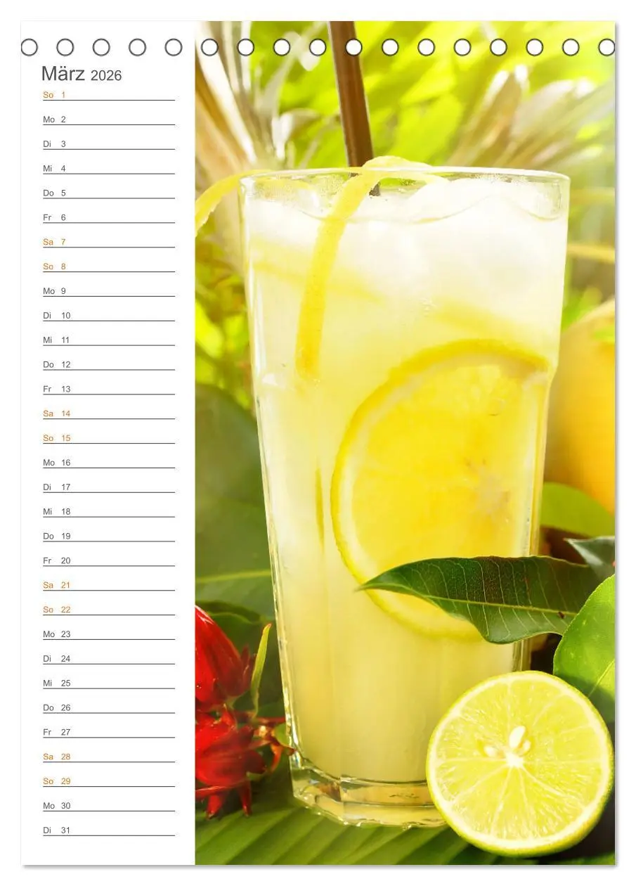 Bild: 9783516363333 | Tropical Cocktails - Erfrischend und fruchtig (Tischkalender 2026...