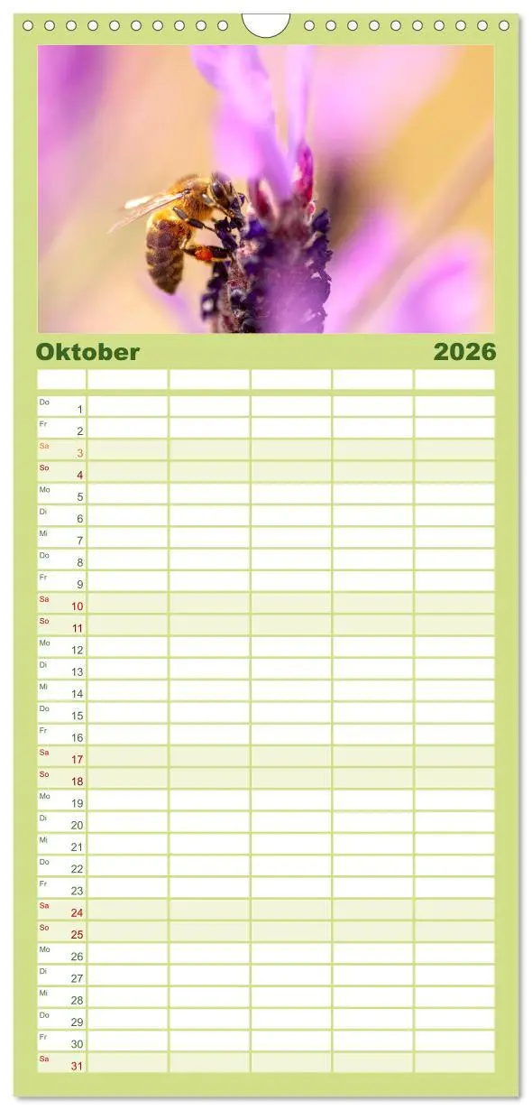 Bild: 9783516503333 | Familienplaner 2026 - Lavendel - Die violette Wunderblume mit 5...