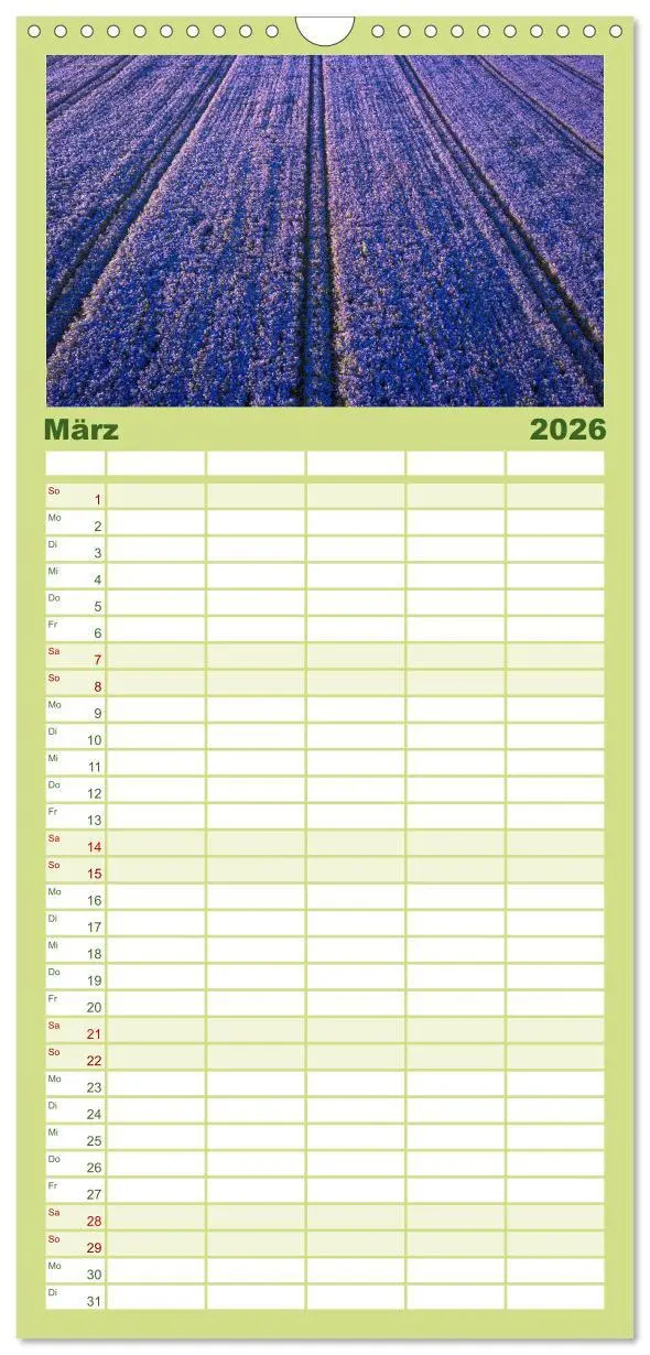 Bild: 9783516503333 | Familienplaner 2026 - Lavendel - Die violette Wunderblume mit 5...