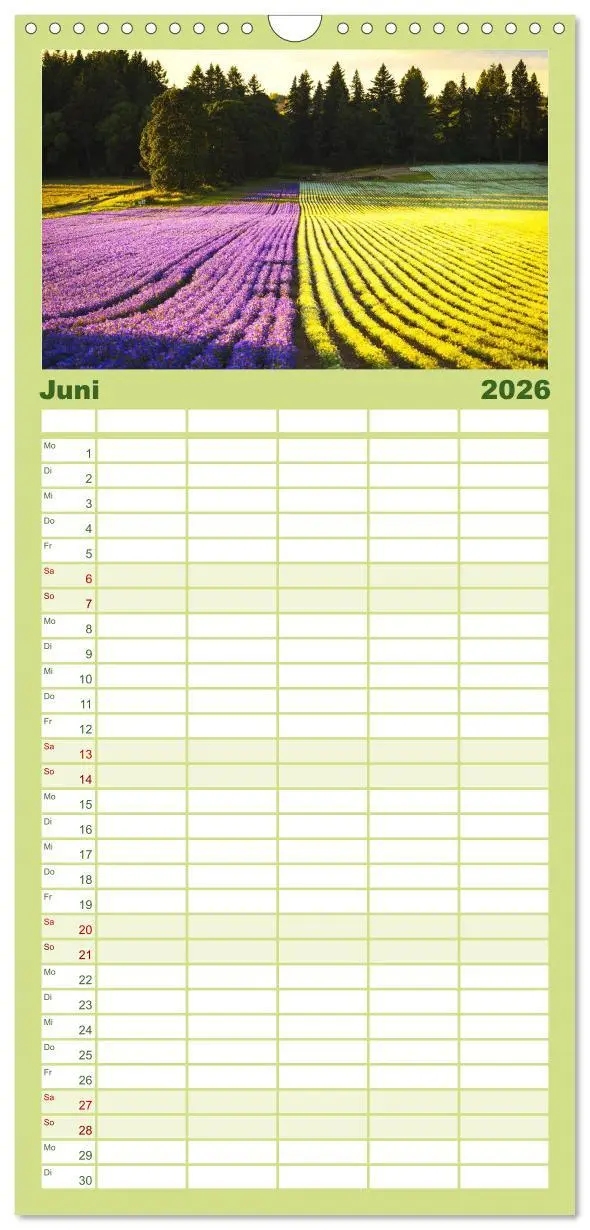 Bild: 9783516503333 | Familienplaner 2026 - Lavendel - Die violette Wunderblume mit 5...