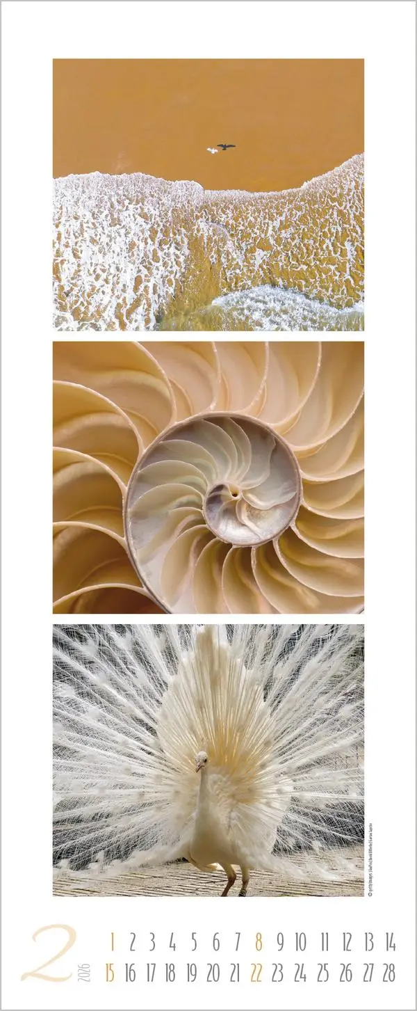 Bild: 9783731883333 | Colour Triplets 2026 | Verlag Korsch | Kalender | Spiralbindung | 2026