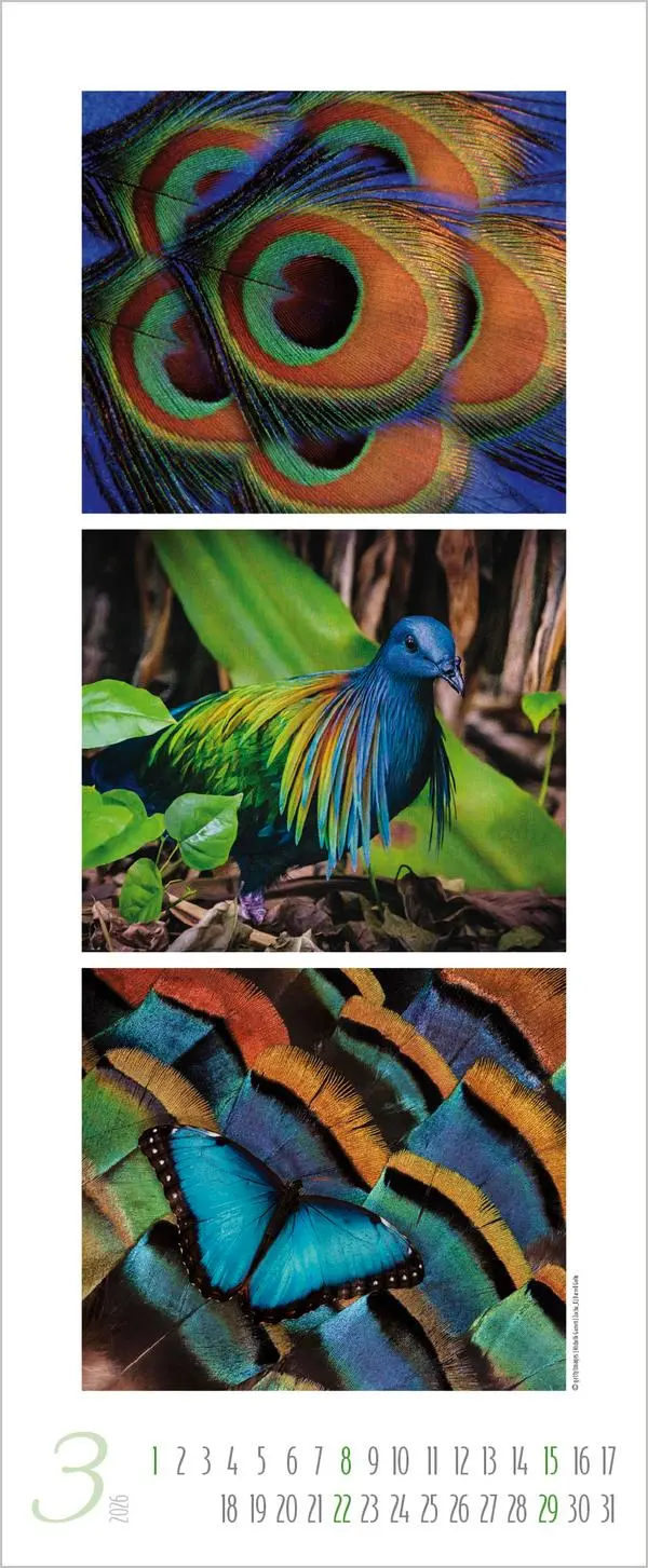 Bild: 9783731883333 | Colour Triplets 2026 | Verlag Korsch | Kalender | Spiralbindung | 2026
