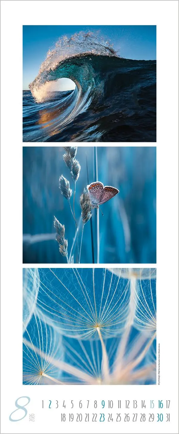 Bild: 9783731883333 | Colour Triplets 2026 | Verlag Korsch | Kalender | Spiralbindung | 2026