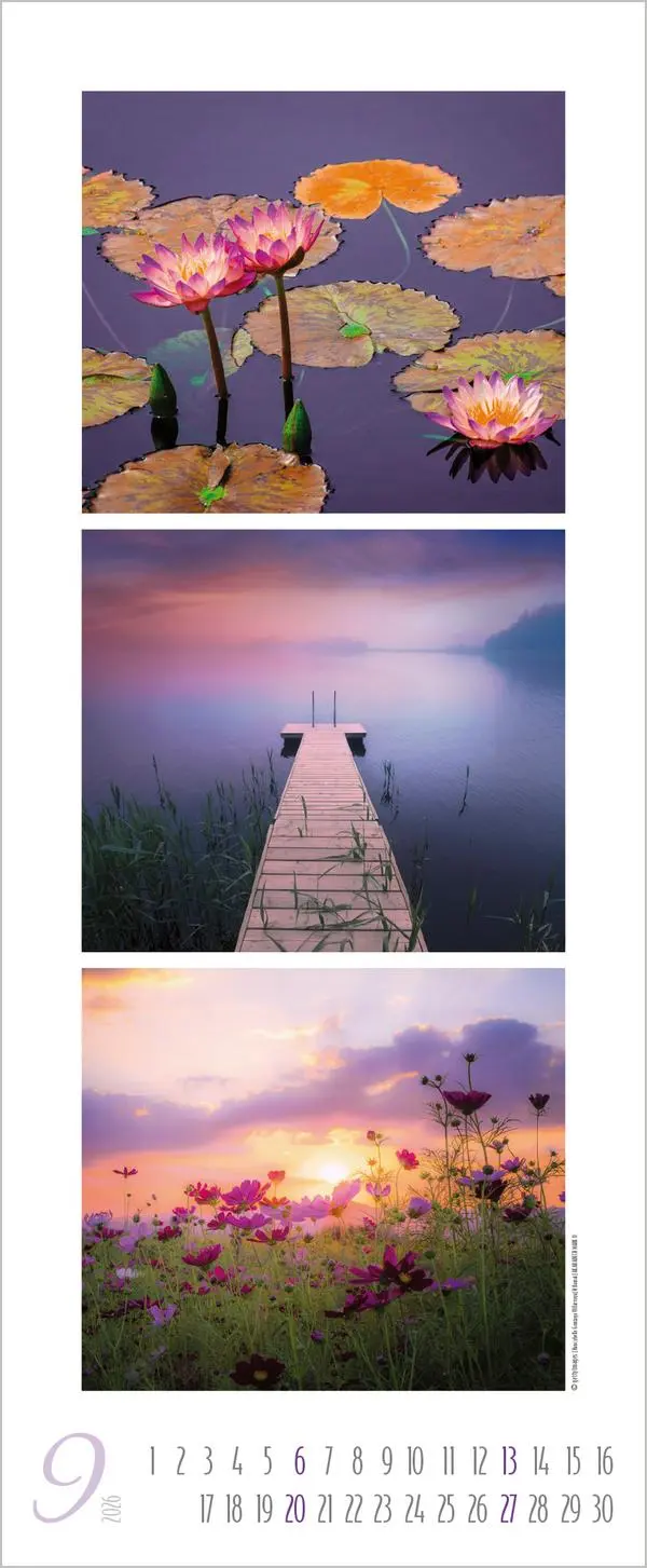 Bild: 9783731883333 | Colour Triplets 2026 | Verlag Korsch | Kalender | Spiralbindung | 2026