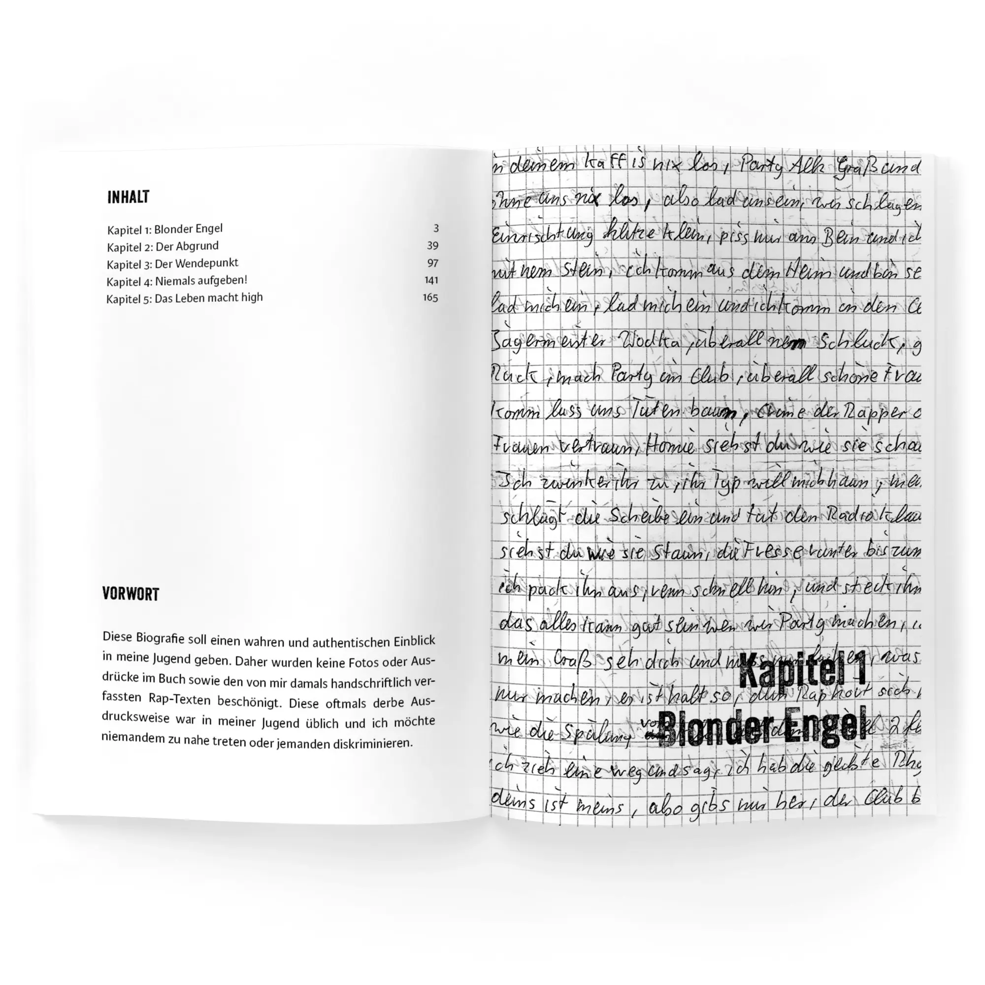 Bild: 9783963233333 | Strassenstaub: Biografie - Daniel Gebhart - Roman | Gebhart Daniel
