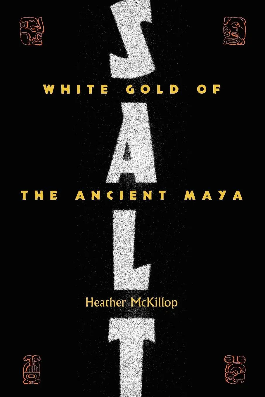 Cover: 9780813033433 | Salt | White Gold of the Ancient Maya | Heather McKillop | Taschenbuch