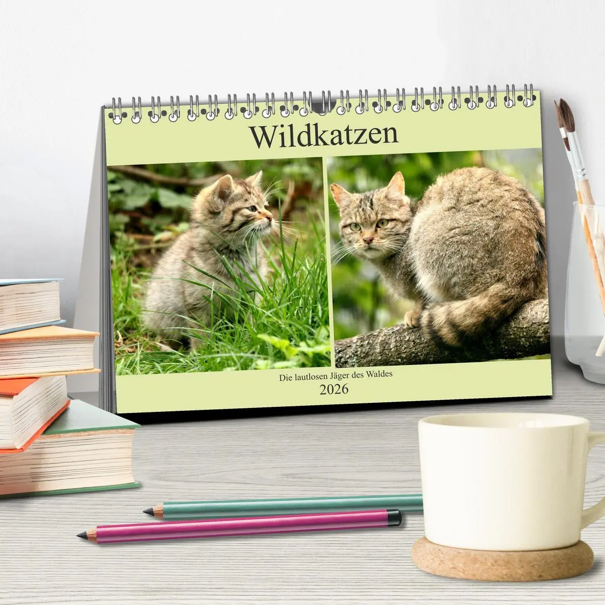 Bild: 9783457883433 | Wildkatzen - Die lautlosen Jäger des Waldes (Tischkalender 2026 DIN...