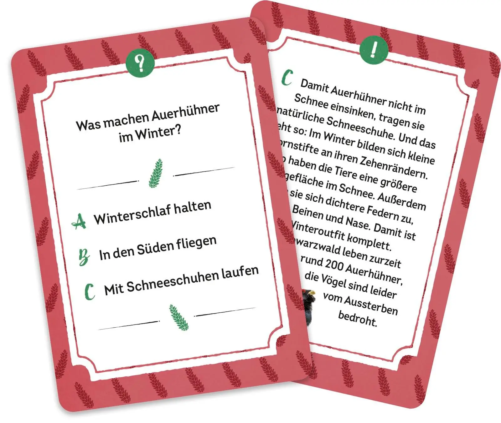 Bild: 4036442013533 | Wer hätte das gedacht?! Das Unnützes-Wissen-Quiz Schwarzwald | Weik