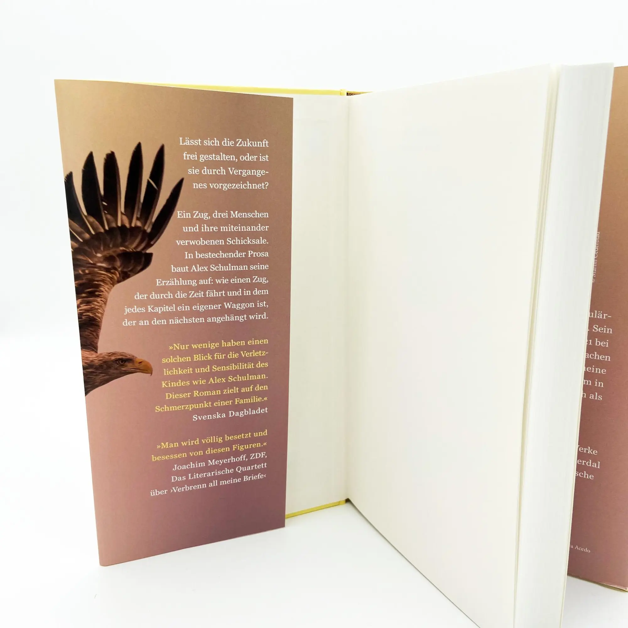 Bild: 9783423283533 | Endstation Malma | Roman | Alex Schulman | Buch | 320 S. | Deutsch