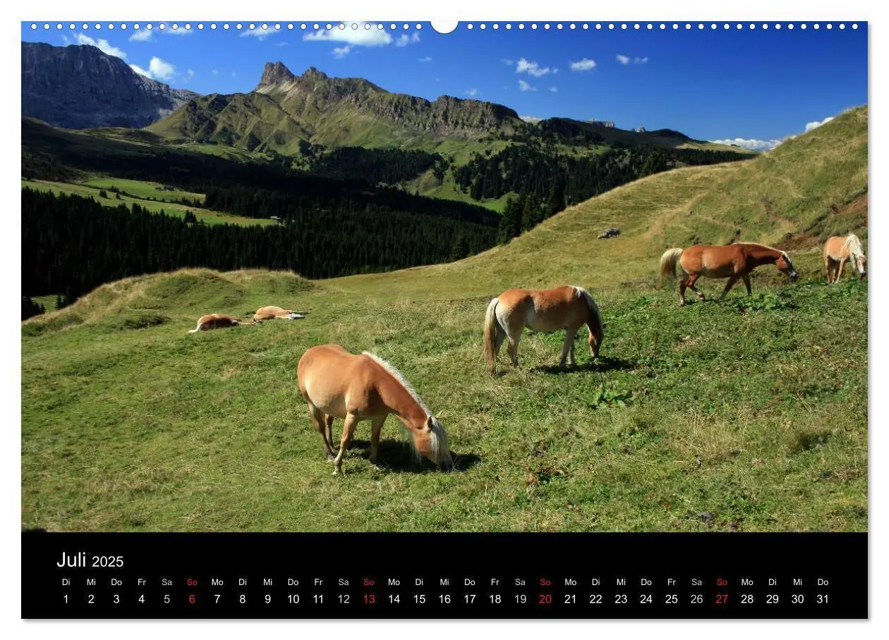 Bild: 9783435473533 | Alpe di Siusi - Seiser Alm (Wandkalender 2025 DIN A2 quer),...