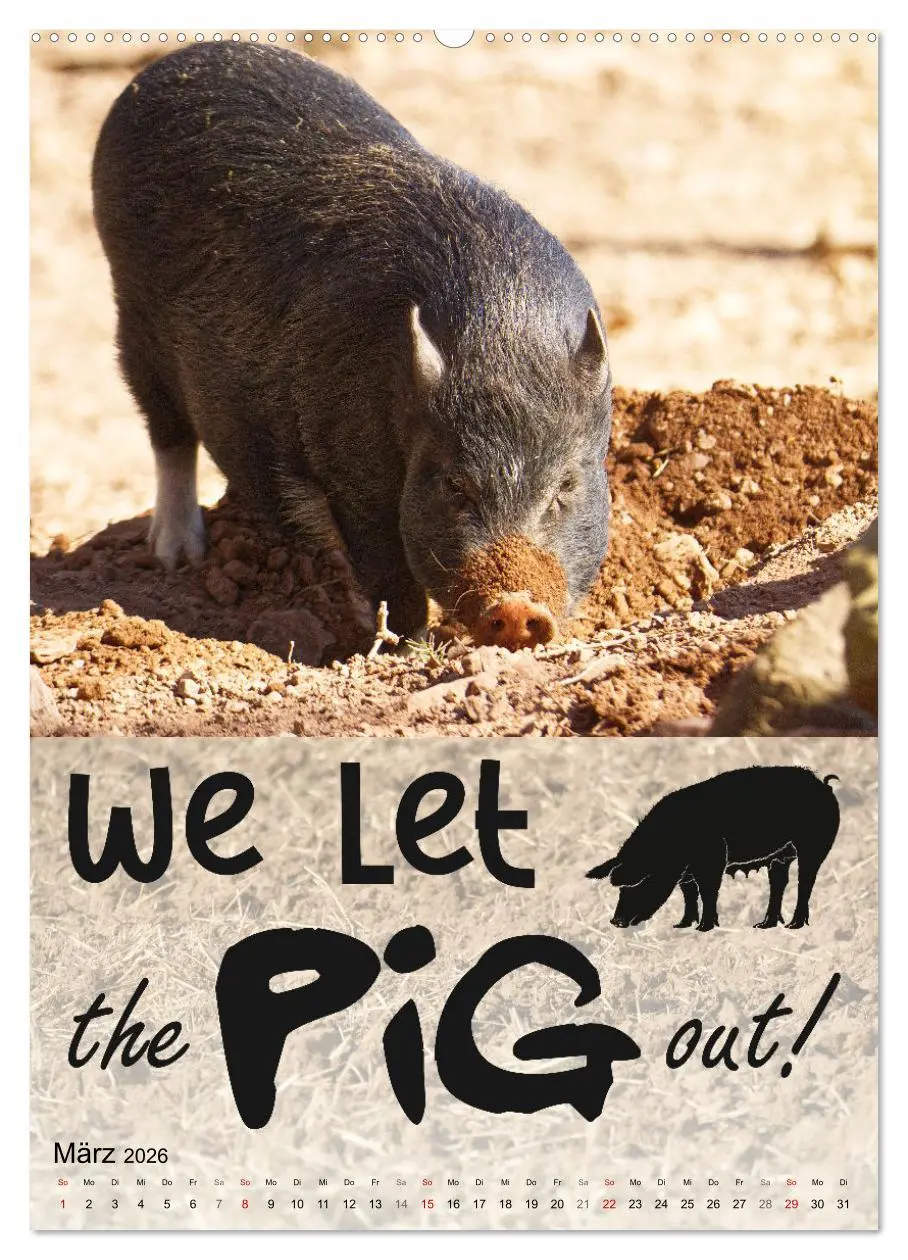 Bild: 9783516343533 | Cooles Denglisch (Wandkalender 2026 DIN A2 hoch), CALVENDO...