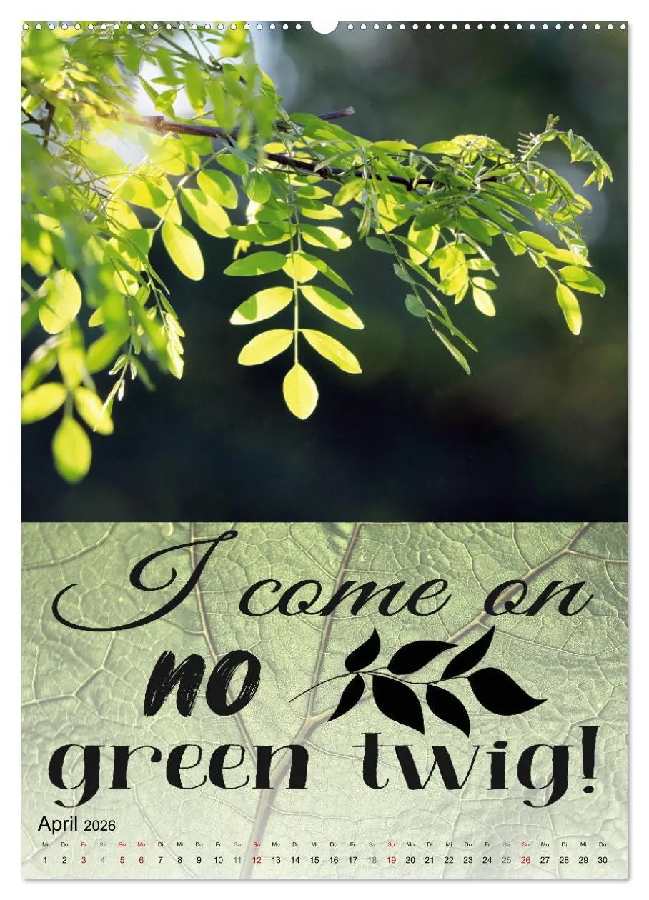 Bild: 9783516343533 | Cooles Denglisch (Wandkalender 2026 DIN A2 hoch), CALVENDO...