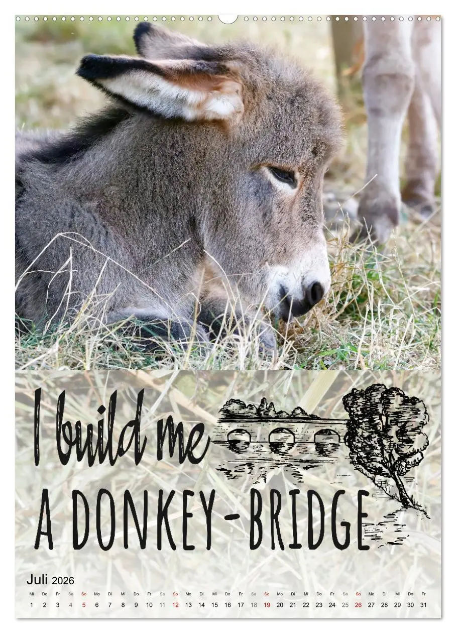 Bild: 9783516343533 | Cooles Denglisch (Wandkalender 2026 DIN A2 hoch), CALVENDO...