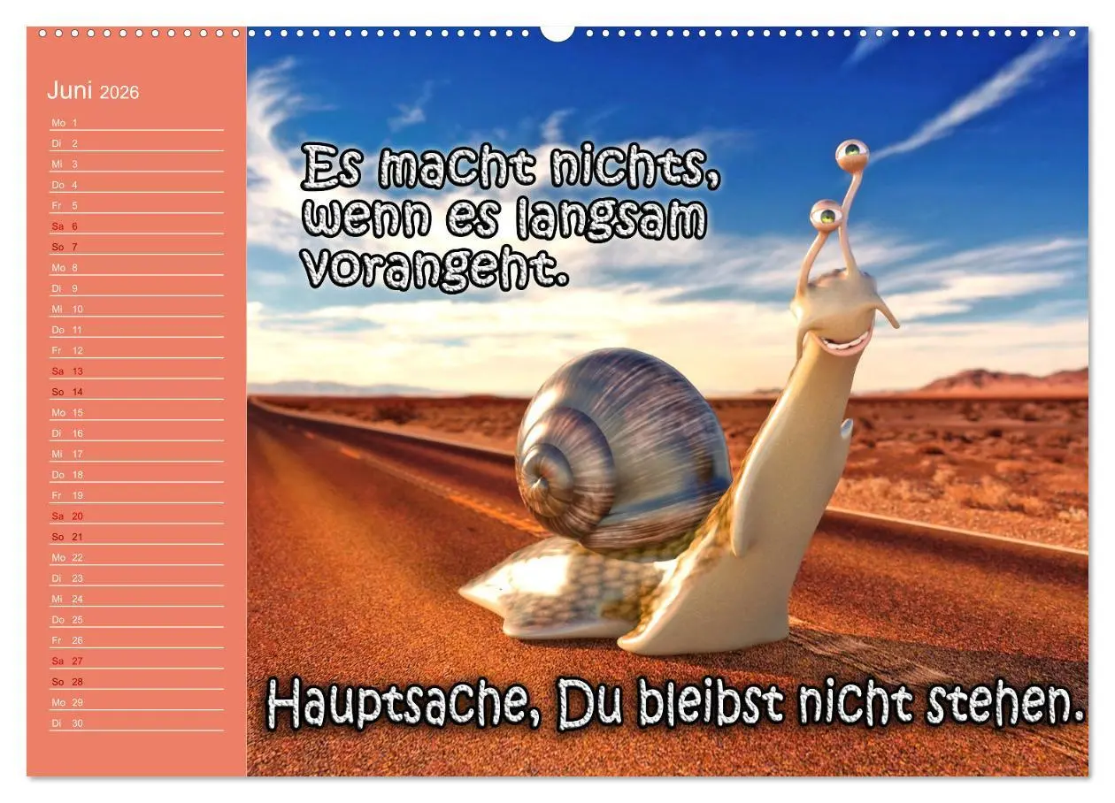Bild: 9783457623633 | Tierische Toons (Wandkalender 2026 DIN A2 quer), CALVENDO...