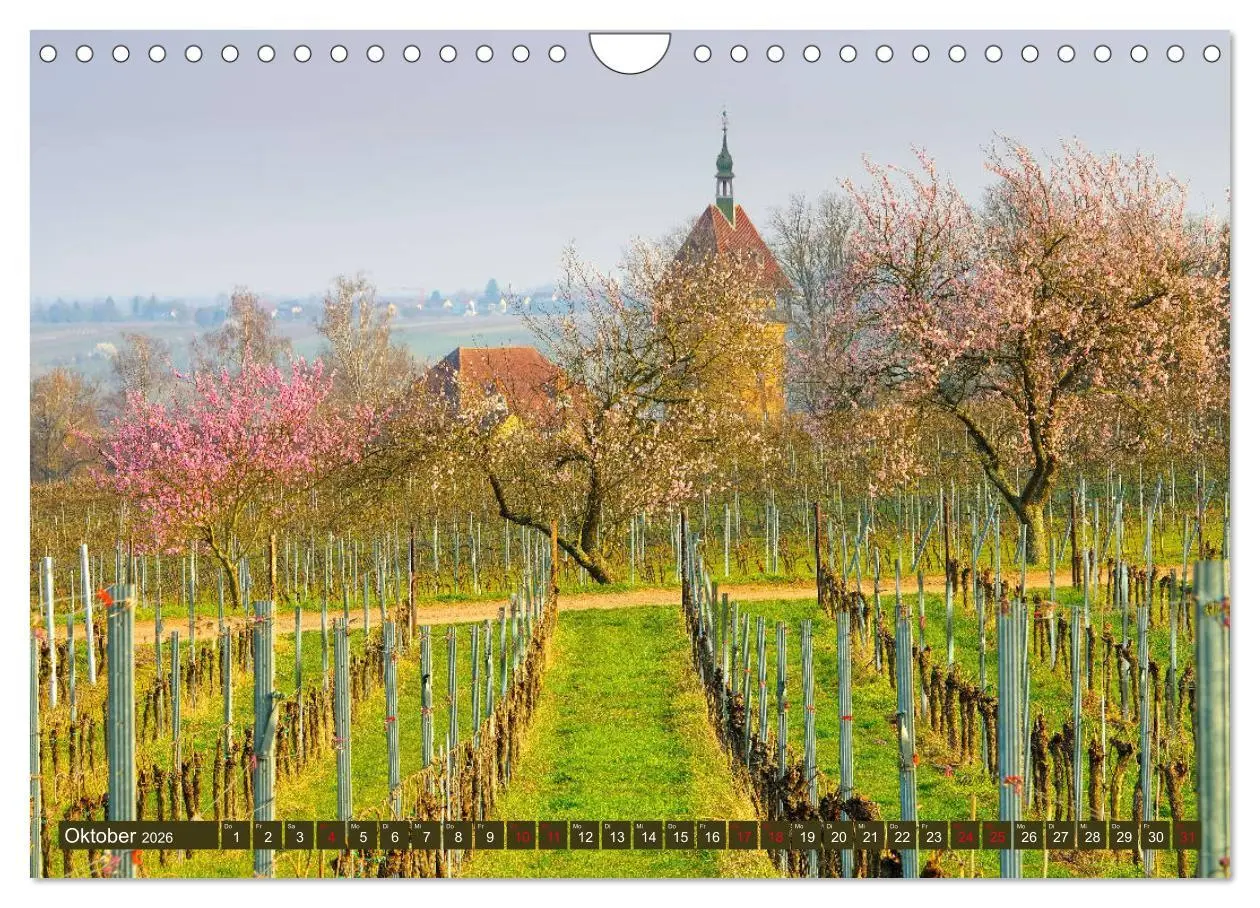 Bild: 9783457793633 | Mandelblütenzauber an der Deutschen Weinstraße (Wandkalender 2026...