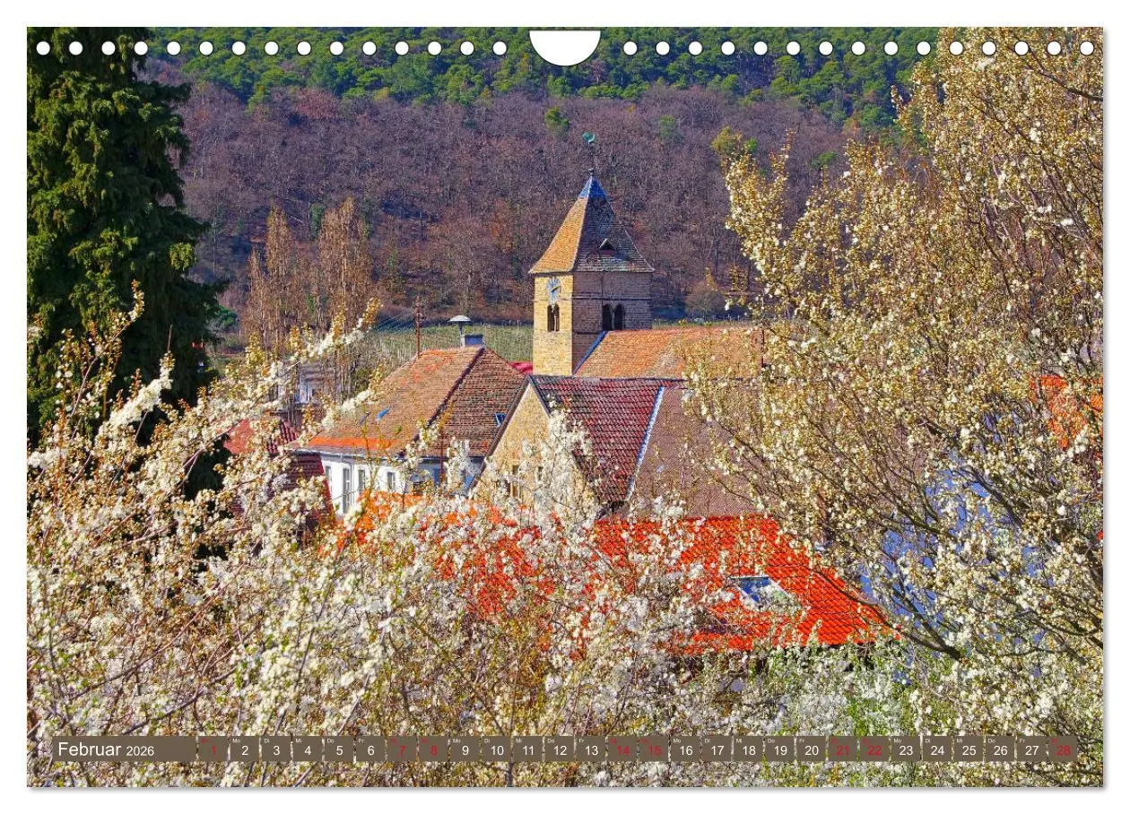 Bild: 9783457793633 | Mandelblütenzauber an der Deutschen Weinstraße (Wandkalender 2026...