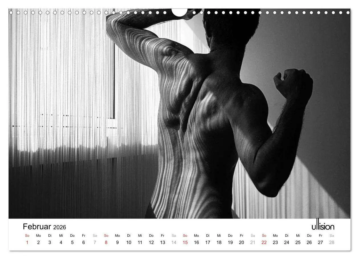 Bild: 9783516023633 | Männer AKT Art (Wandkalender 2026 DIN A3 quer), CALVENDO...