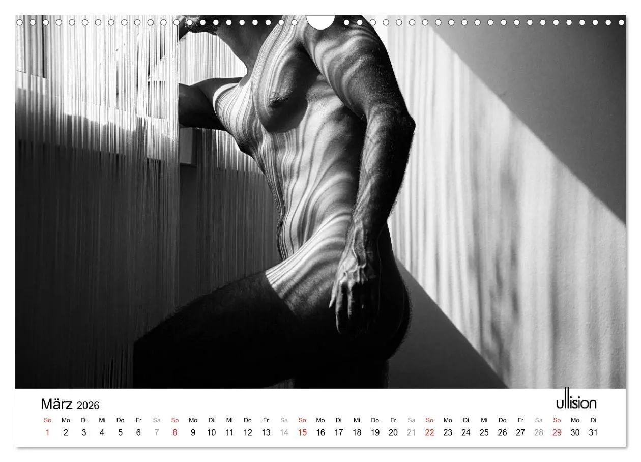 Bild: 9783516023633 | Männer AKT Art (Wandkalender 2026 DIN A3 quer), CALVENDO...