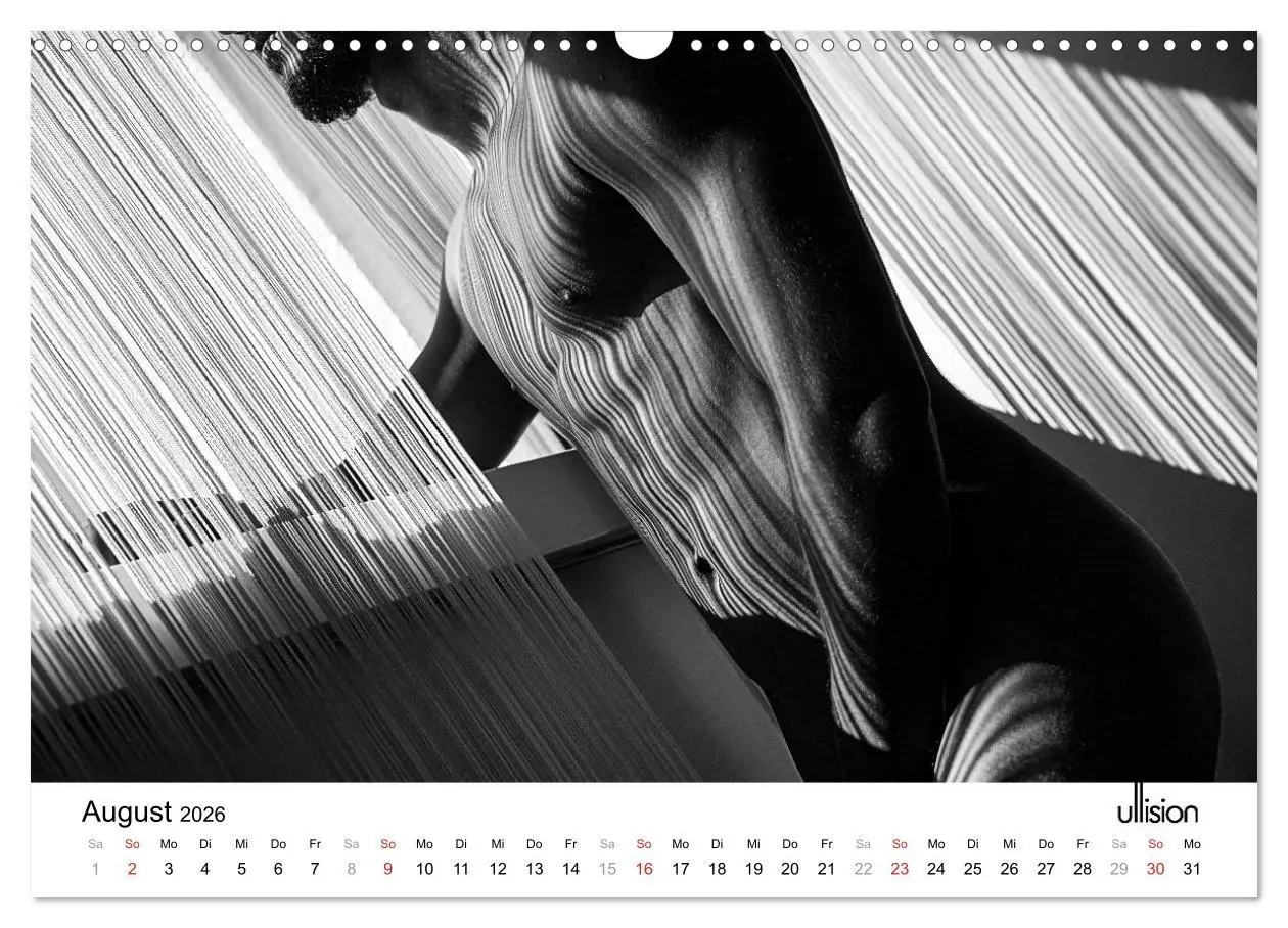 Bild: 9783516023633 | Männer AKT Art (Wandkalender 2026 DIN A3 quer), CALVENDO...