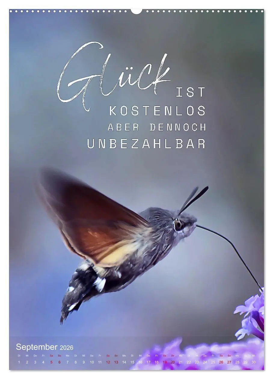 Bild: 9783516263633 | ICH WÜNSCHE DIR GLÜCK - 12 Monate mit inspirierenden Glückszitaten...