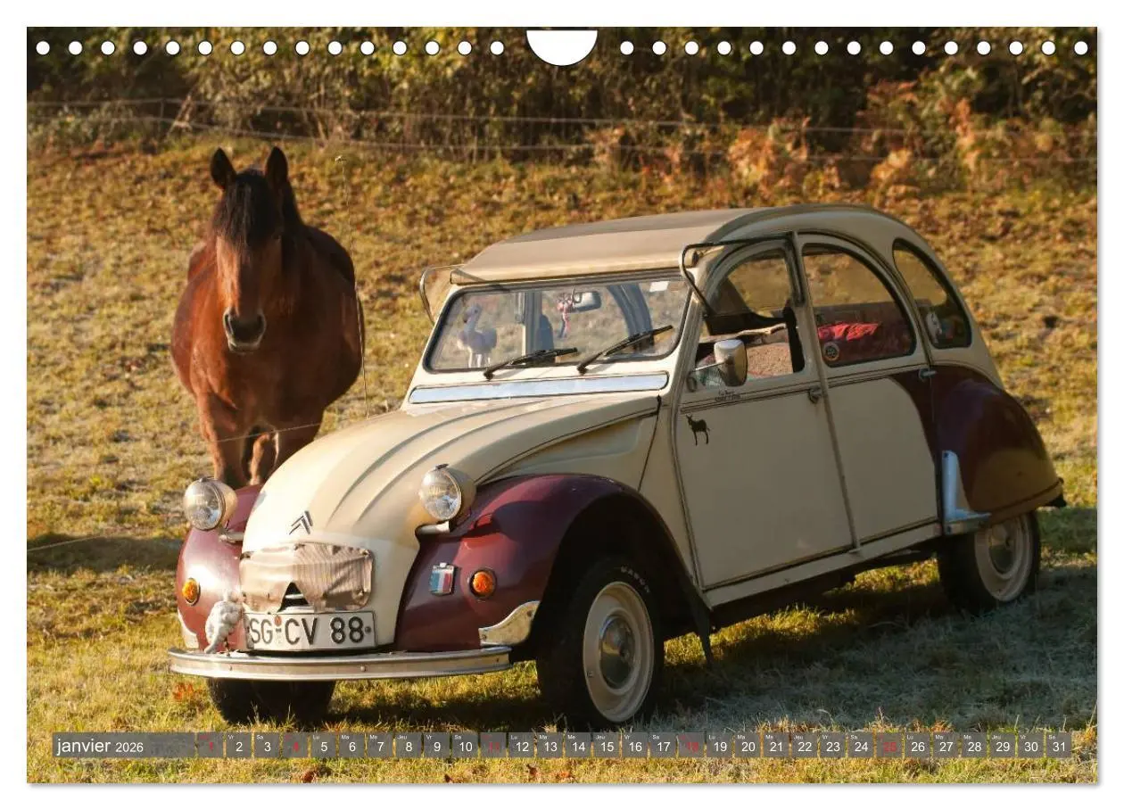 Bild: 9783516573633 | La deudeuche une voiture culte (Calendrier mural 2026 DIN A4...