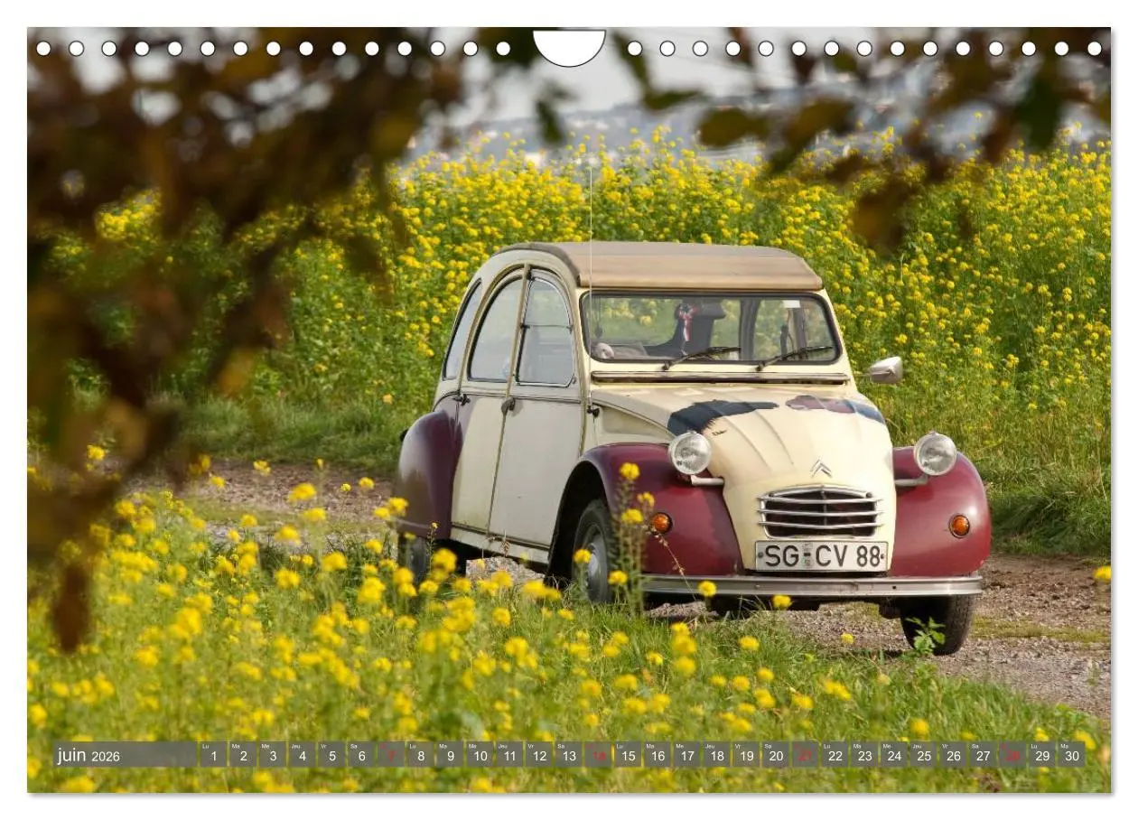 Bild: 9783516573633 | La deudeuche une voiture culte (Calendrier mural 2026 DIN A4...