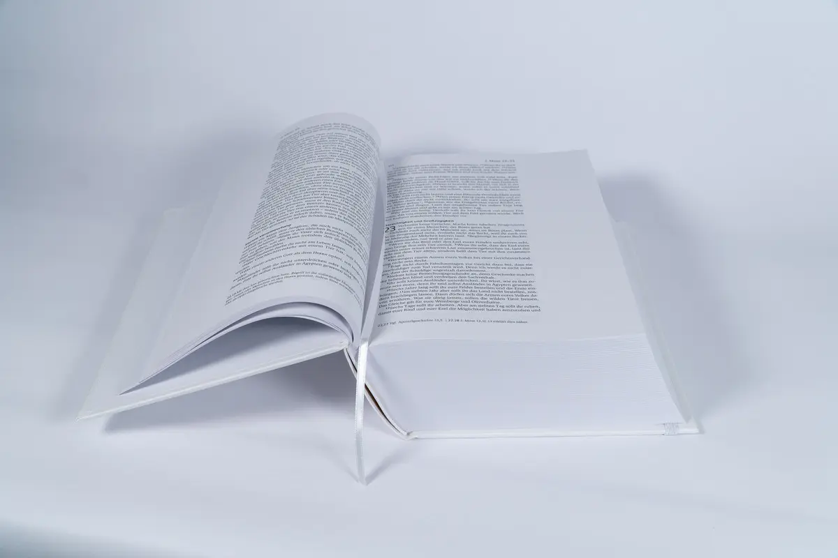 Bild: 9783417253733 | NLB Art Journaling Bibel Gesamtausgabe | Altes und Neues Testament