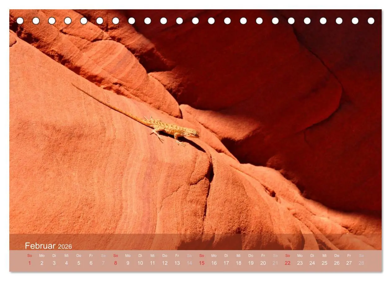 Bild: 9783516183733 | Der Antelope Canyon (Tischkalender 2026 DIN A5 quer), CALVENDO...