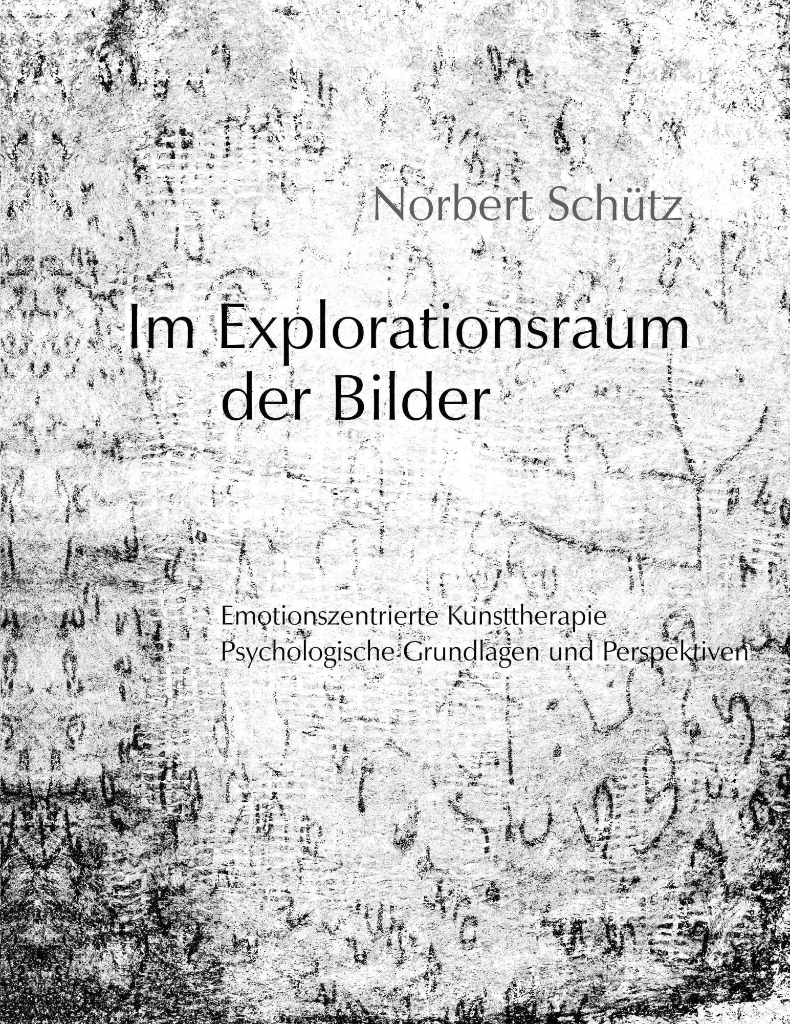 Cover: 9783831143733 | Im Explorationsraum der Bilder | Norbert Schütz | Taschenbuch | 384 S.