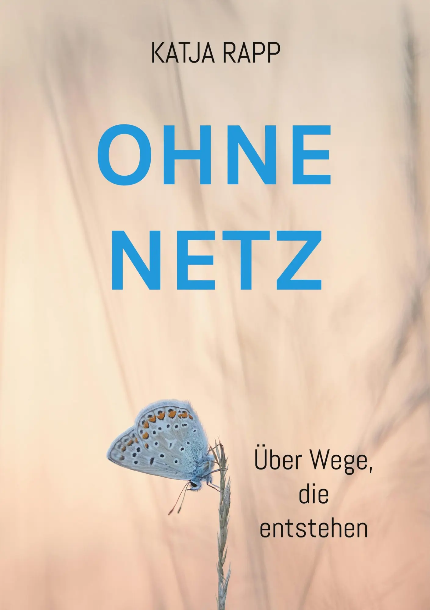 Cover: 9783695133833 | Ohne Netz | Über Wege, die entstehen | Katja Rapp | Taschenbuch | 2026