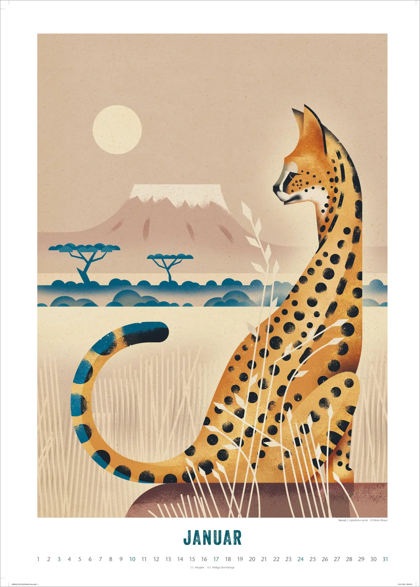 Bild: 4069095013933 | Die Welt der Tiere 2027 | Dieter Braun | Kalender | 14 S. | Deutsch