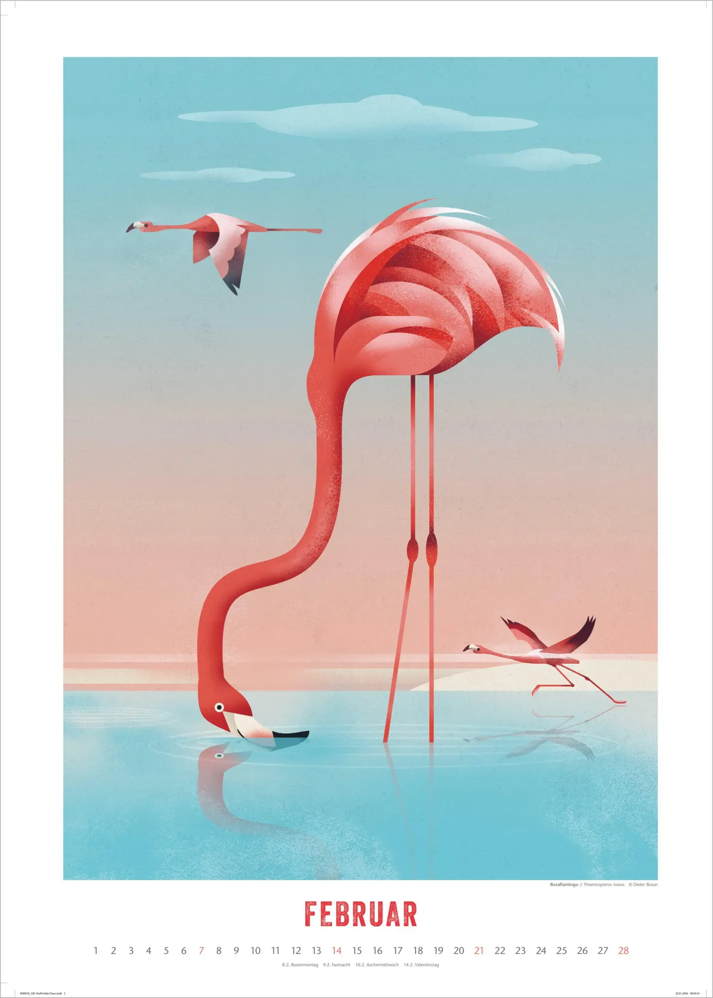 Bild: 4069095013933 | Die Welt der Tiere 2027 | Dieter Braun | Kalender | 14 S. | Deutsch