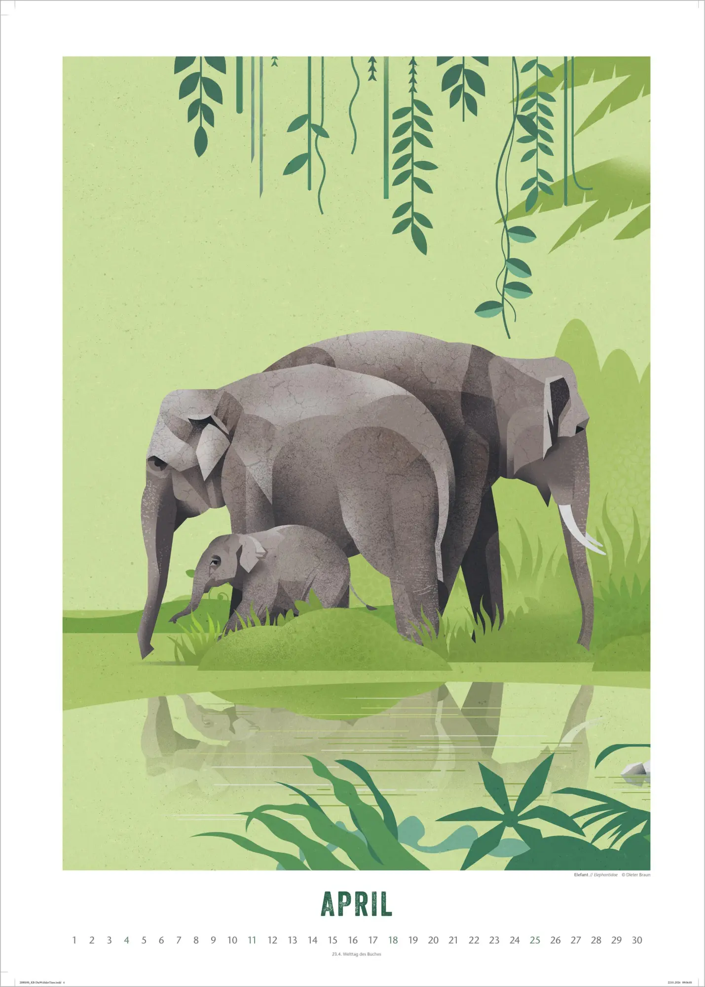 Bild: 4069095013933 | Die Welt der Tiere 2027 | Dieter Braun | Kalender | 14 S. | Deutsch