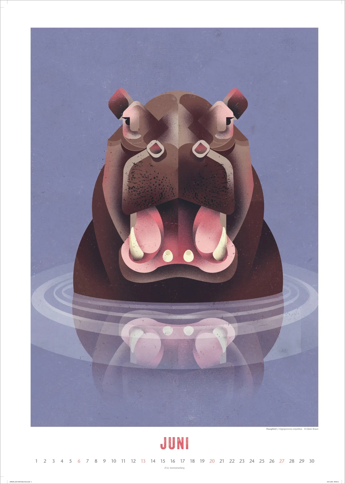 Bild: 4069095013933 | Die Welt der Tiere 2027 | Dieter Braun | Kalender | 14 S. | Deutsch