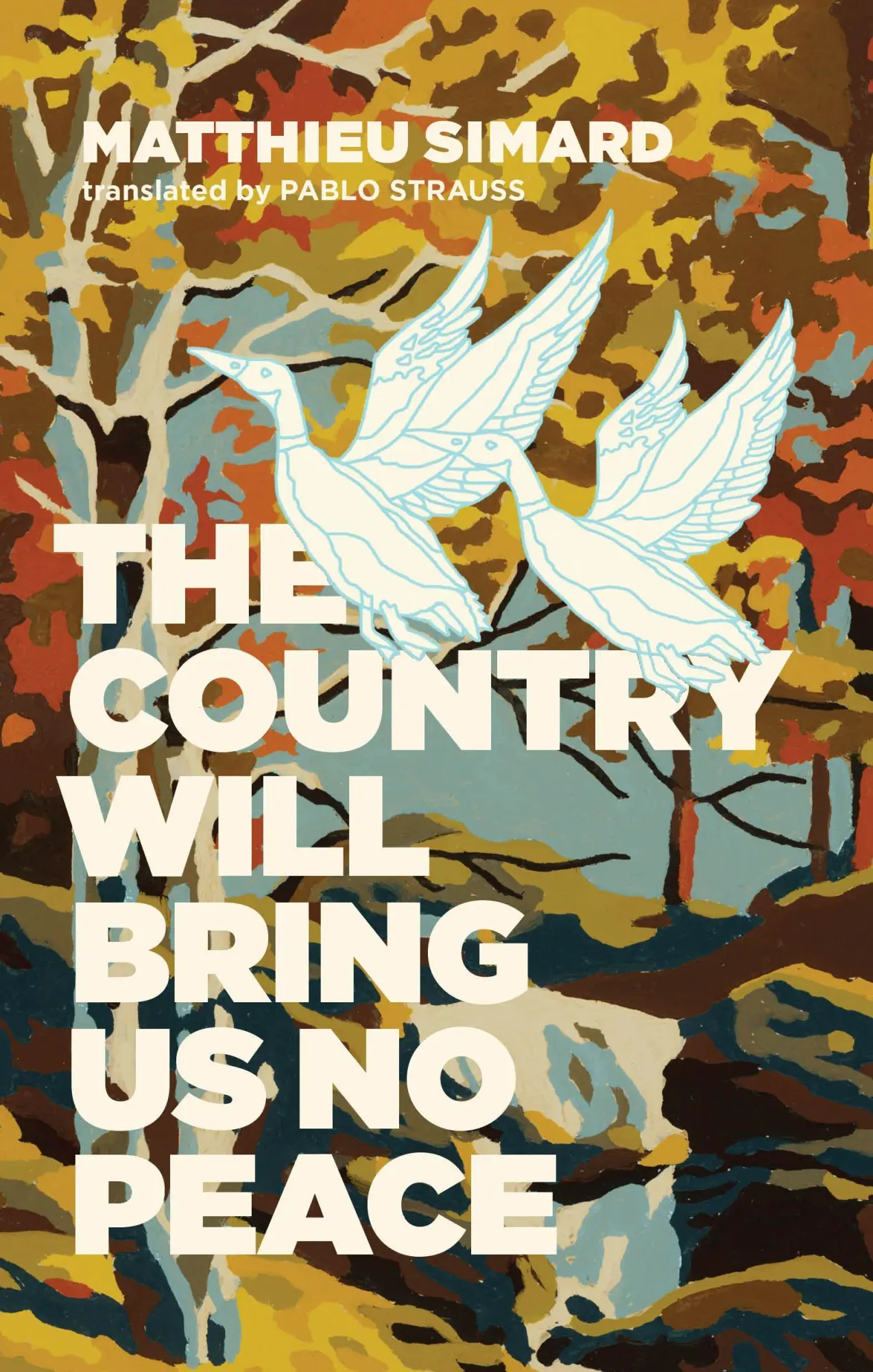 Cover: 9781552453933 | The Country Will Bring Us No Peace | Matthieu Simard | Taschenbuch