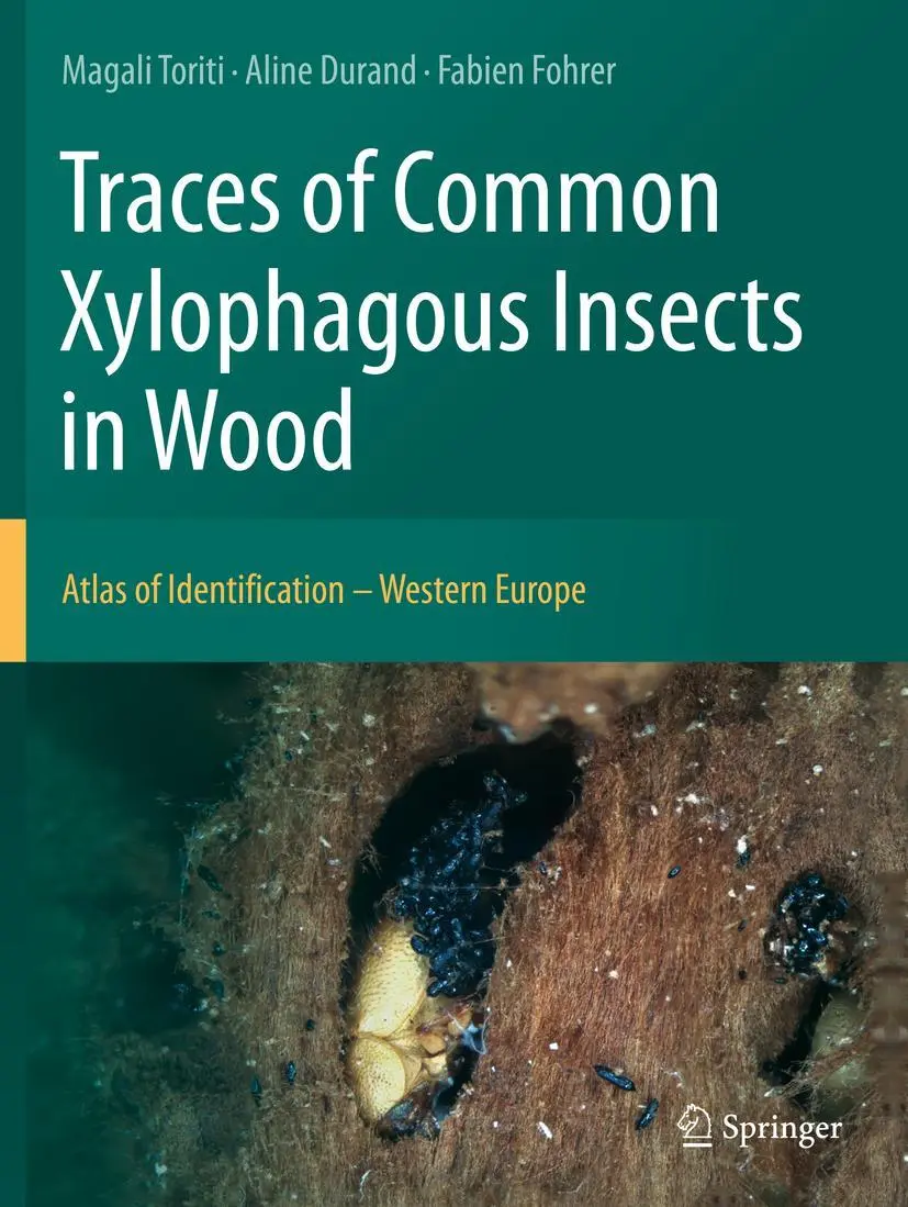 Cover: 9783030663933 | Traces of Common Xylophagous Insects in Wood | Magali Toriti (u. a.)