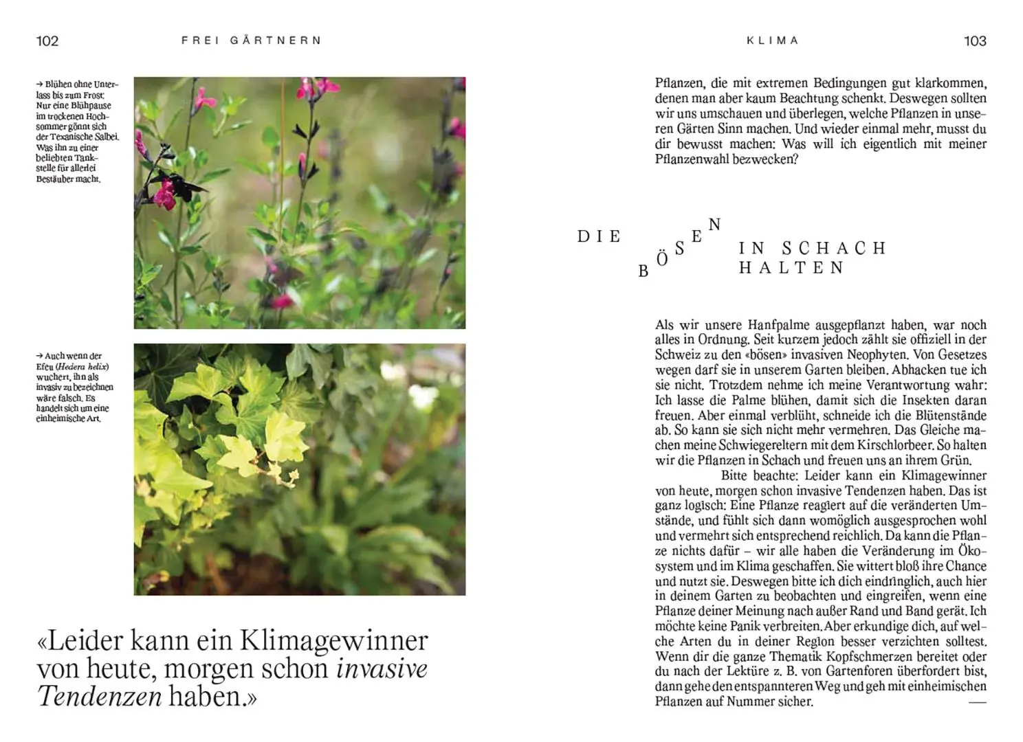 Bild: 9783258083933 | Frei gärtnern | Einfach wachsen lassen und der Natur Raum geben | Buch