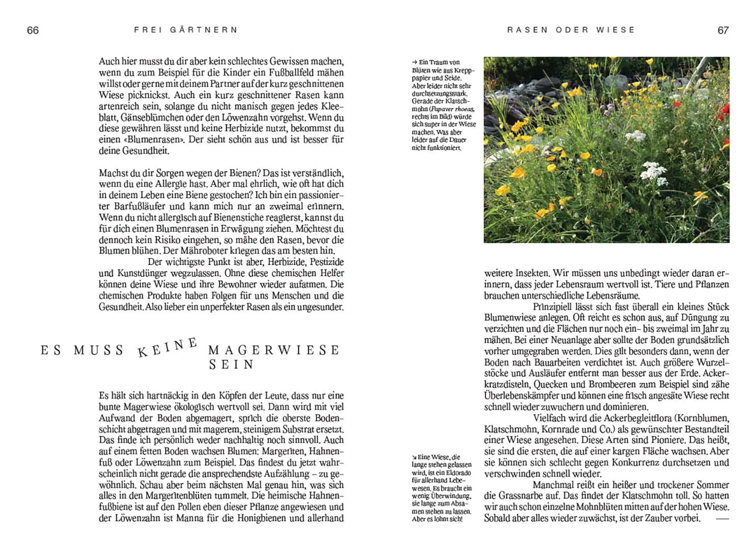 Bild: 9783258083933 | Frei gärtnern | Einfach wachsen lassen und der Natur Raum geben | Buch
