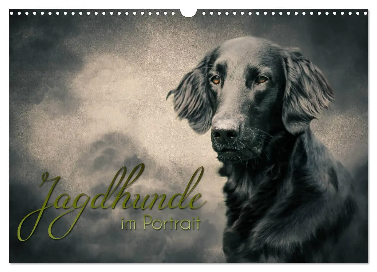 Cover: 9783435293933 | Jagdhunde im Portrait (Wandkalender 2025 DIN A3 quer), CALVENDO...