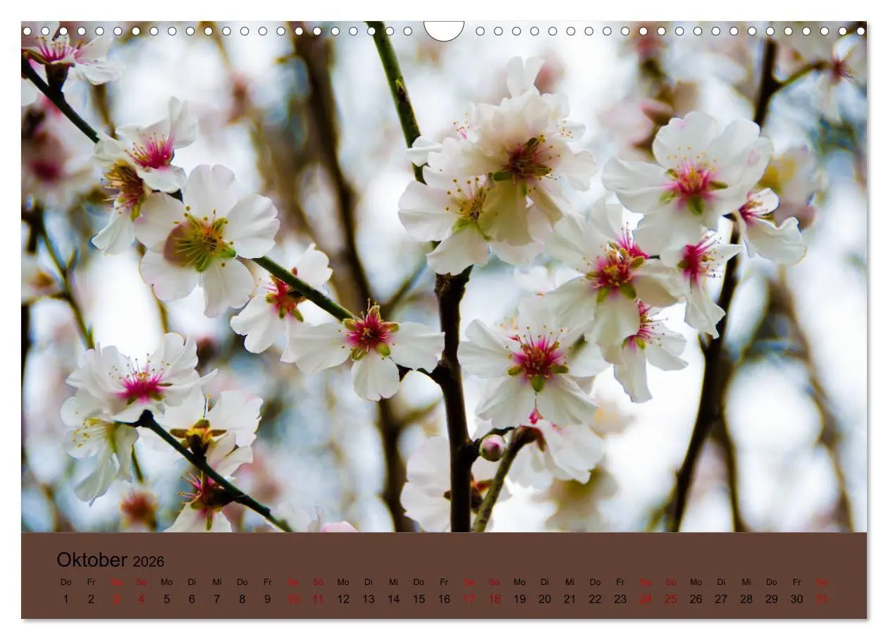 Bild: 9783457833933 | Kurpark Baden-Baden (Wandkalender 2026 DIN A3 quer), CALVENDO...