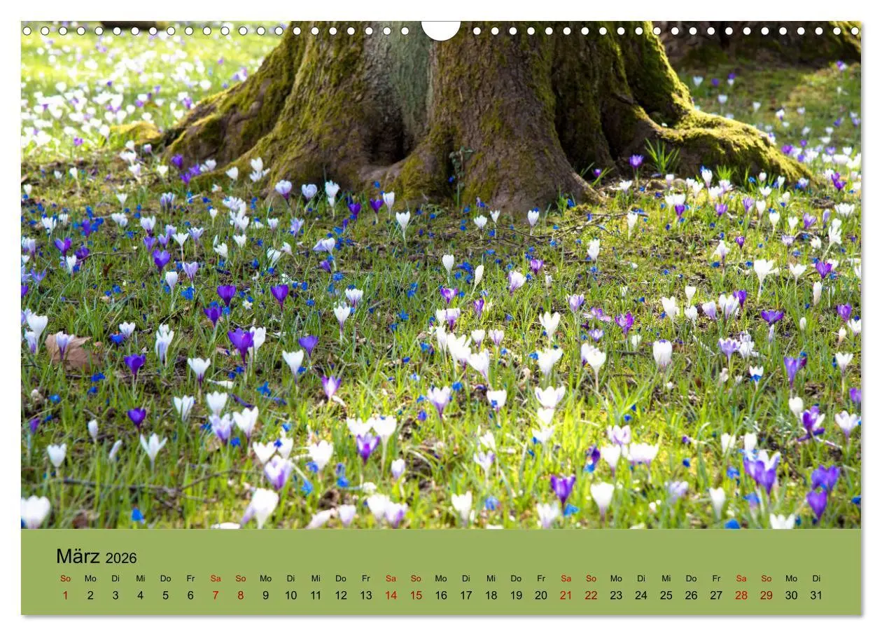 Bild: 9783457833933 | Kurpark Baden-Baden (Wandkalender 2026 DIN A3 quer), CALVENDO...