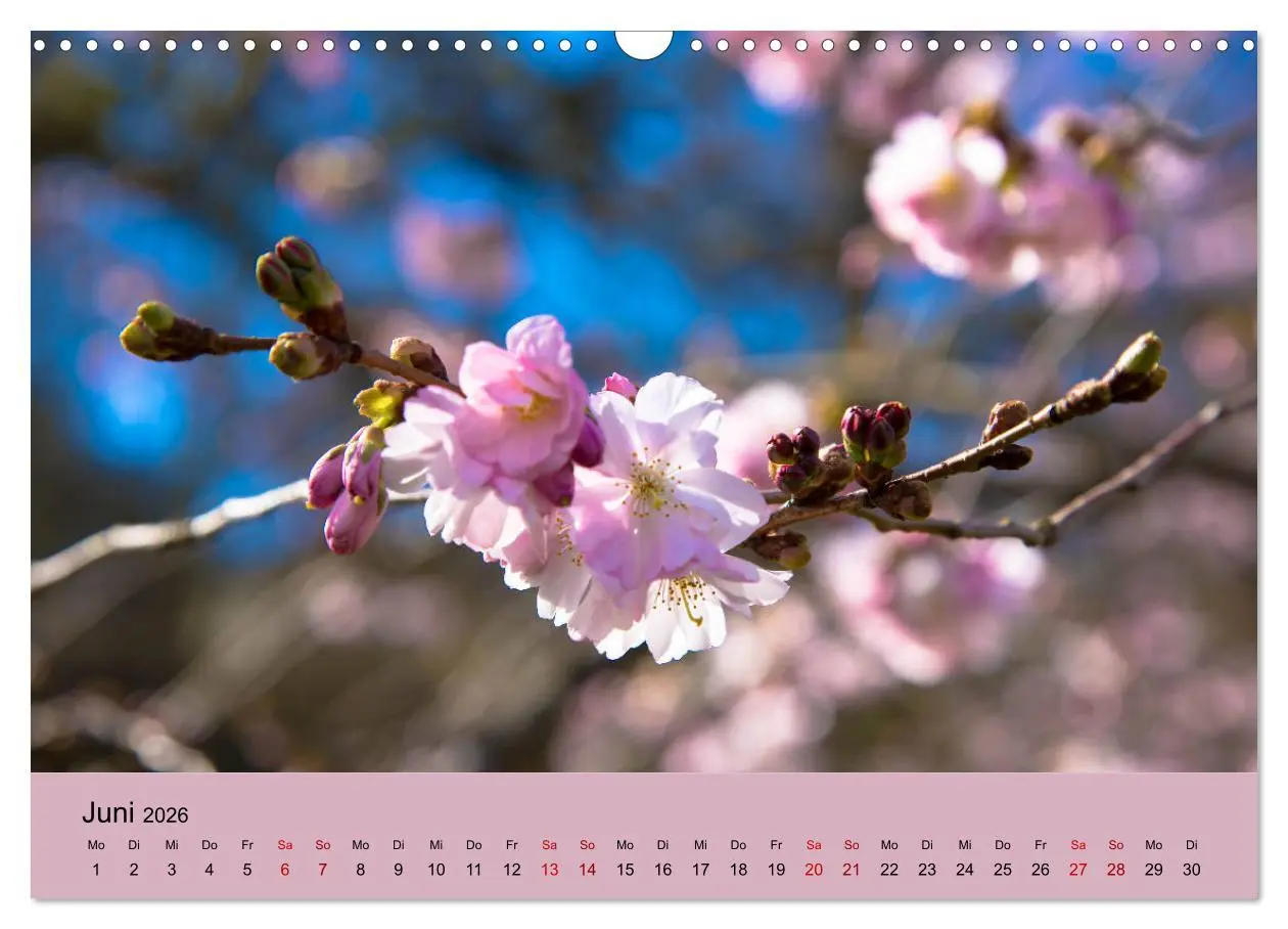 Bild: 9783457833933 | Kurpark Baden-Baden (Wandkalender 2026 DIN A3 quer), CALVENDO...