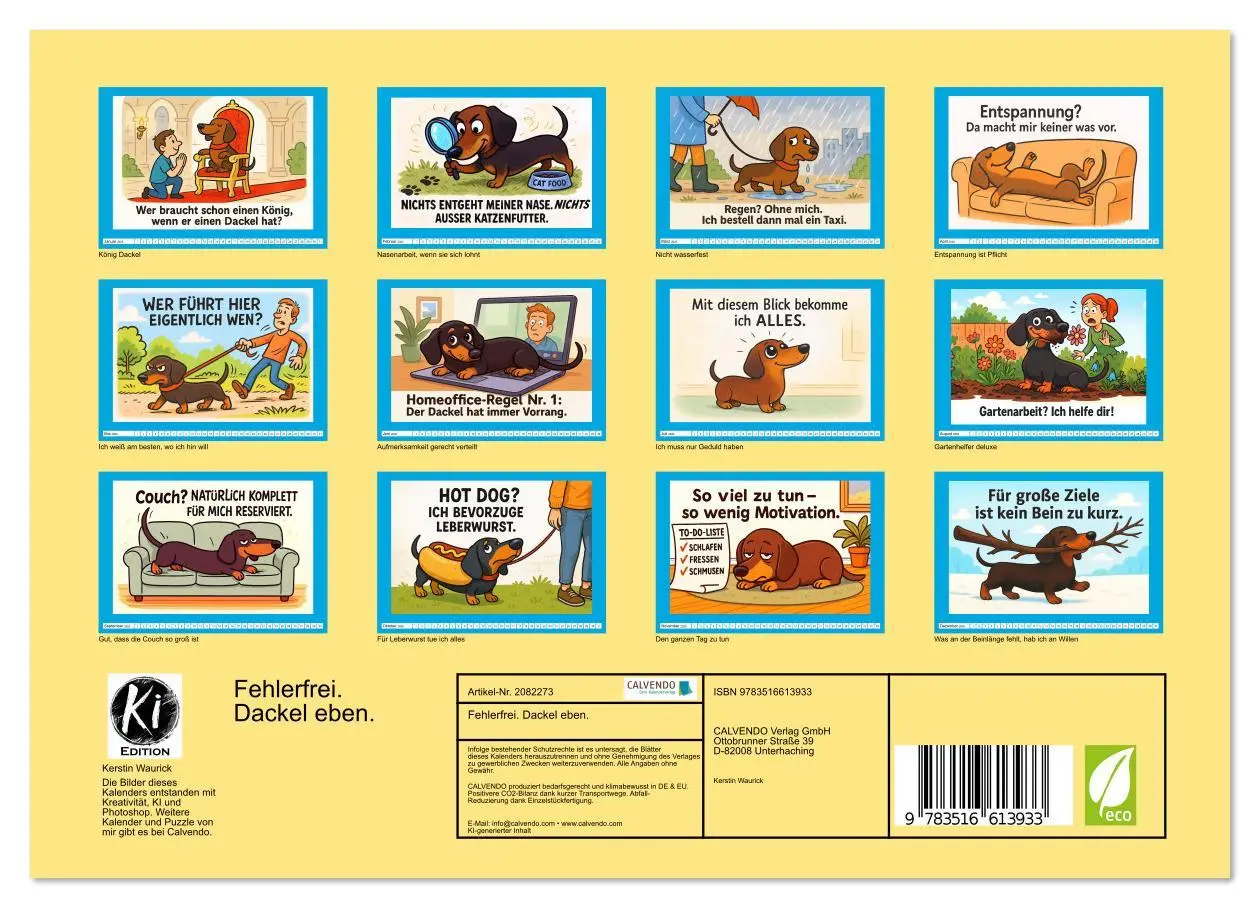 Bild: 9783516613933 | Fehlerfrei. Dackel eben. (Wandkalender 2026 DIN A4 quer), CALVENDO...