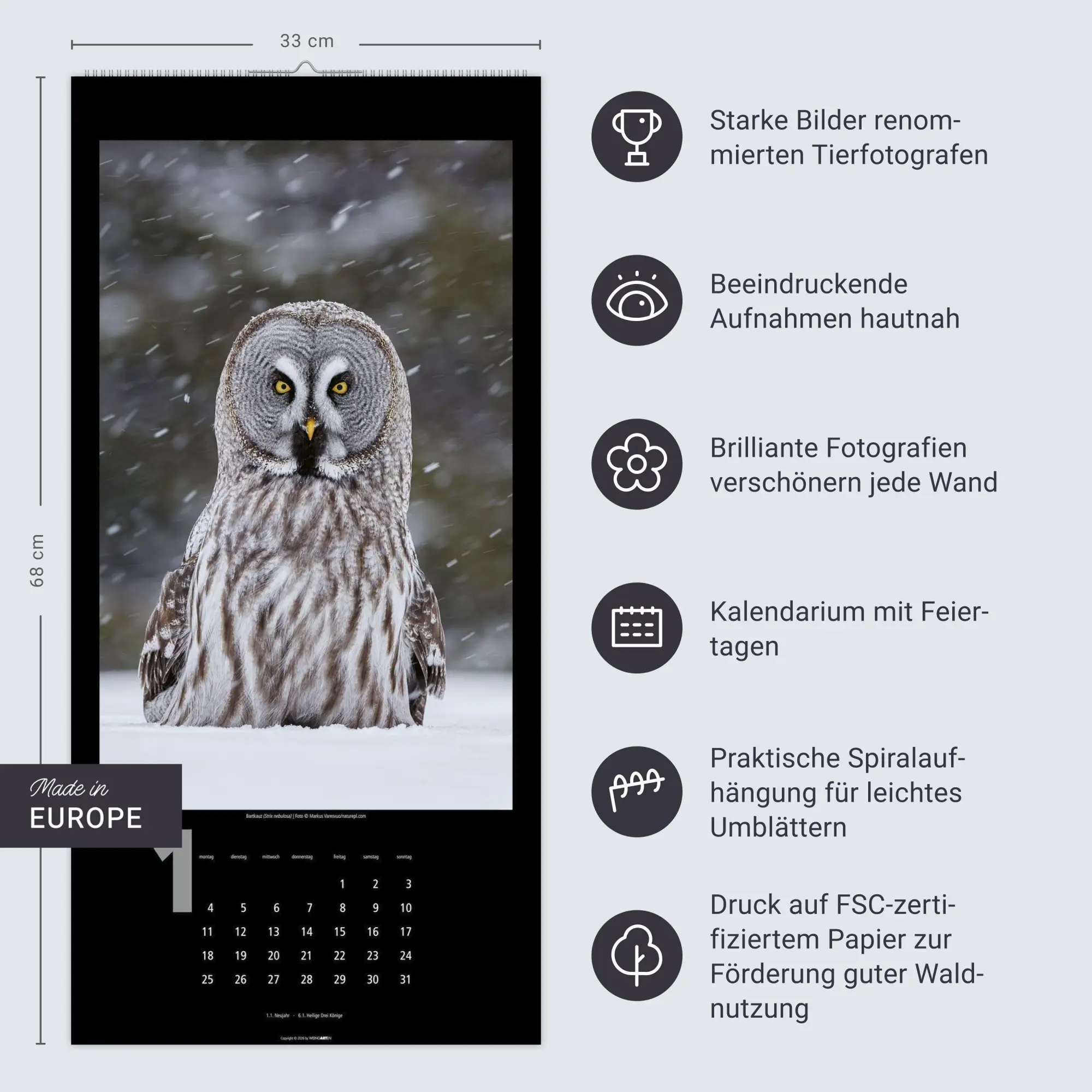 Bild: 9783839903933 | Eulen Kalender 2027 | Kalender | Tierkalender Weingarten | 14 S.